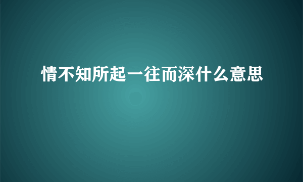 情不知所起一往而深什么意思