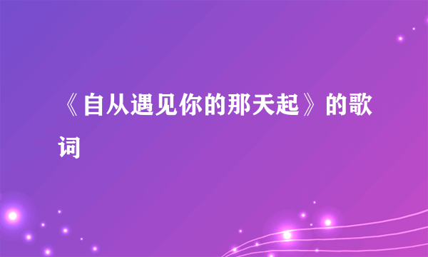 《自从遇见你的那天起》的歌词