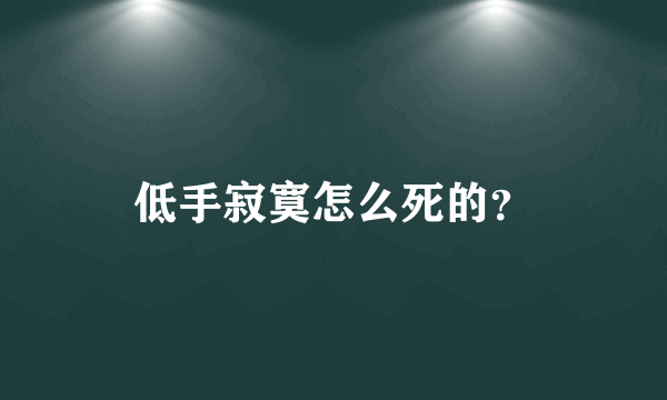 低手寂寞怎么死的？