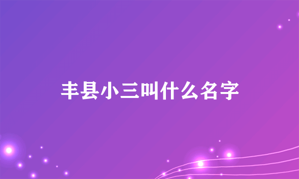 丰县小三叫什么名字