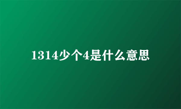 1314少个4是什么意思