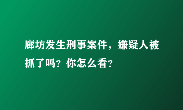 廊坊发生刑事案件，嫌疑人被抓了吗？你怎么看？