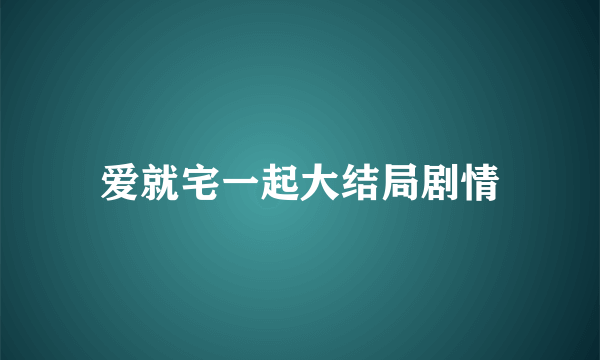 爱就宅一起大结局剧情