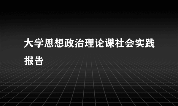 大学思想政治理论课社会实践报告