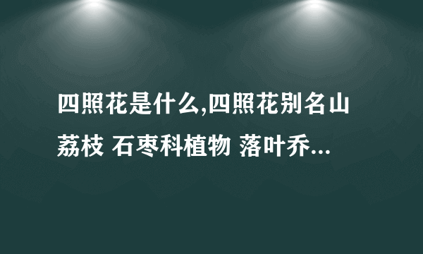 四照花是什么,四照花别名山荔枝 石枣科植物 落叶乔木 原产于东亚