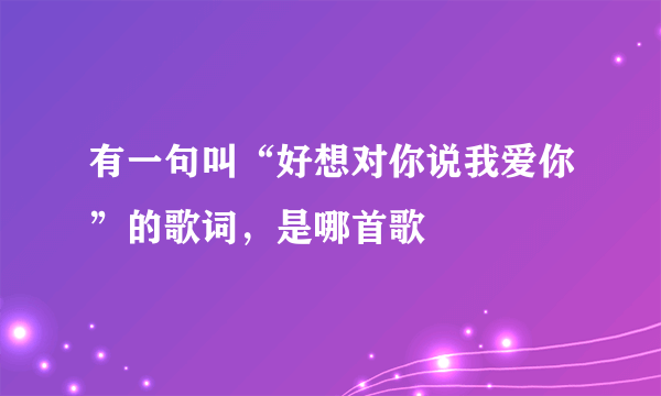 有一句叫“好想对你说我爱你”的歌词，是哪首歌