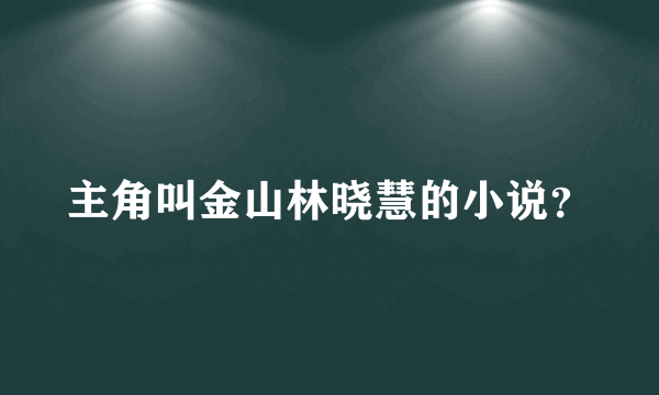 主角叫金山林晓慧的小说？