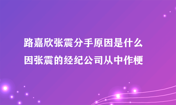 路嘉欣张震分手原因是什么 因张震的经纪公司从中作梗