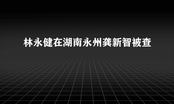 林永健在湖南永州龚新智被查