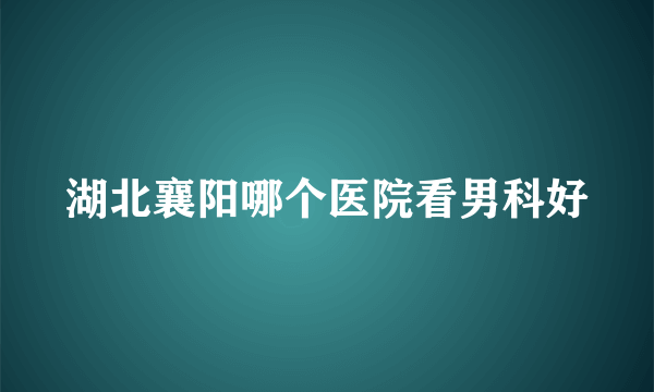 湖北襄阳哪个医院看男科好