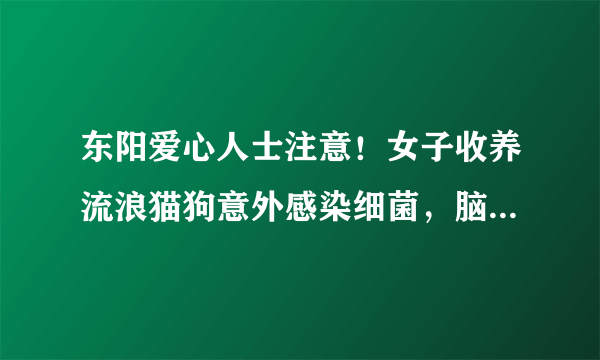 东阳爱心人士注意！女子收养流浪猫狗意外感染细菌，脑中居然抽出脓液！