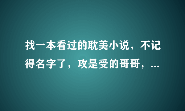 找一本看过的耽美小说，不记得名字了，攻是受的哥哥，是个军人，不苟言笑的那种，对弟弟有很强的责任感，