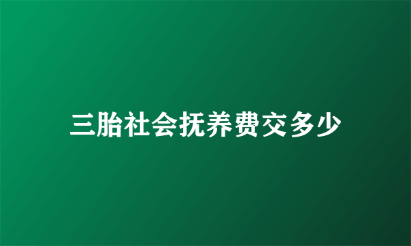 三胎社会抚养费交多少