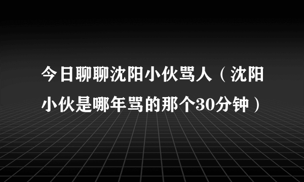 今日聊聊沈阳小伙骂人（沈阳小伙是哪年骂的那个30分钟）