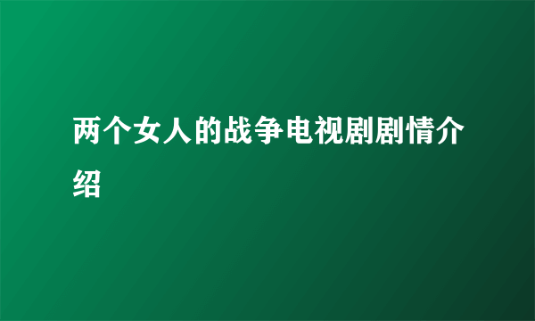 两个女人的战争电视剧剧情介绍