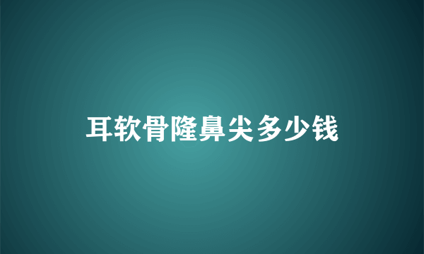 耳软骨隆鼻尖多少钱