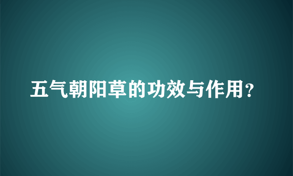 五气朝阳草的功效与作用？