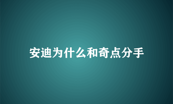 安迪为什么和奇点分手