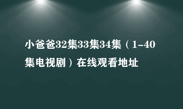 小爸爸32集33集34集（1-40集电视剧）在线观看地址