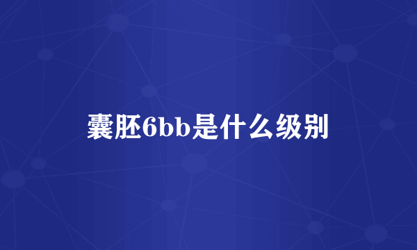 囊胚6bb是什么级别