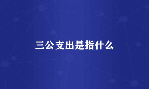 三公支出是指什么