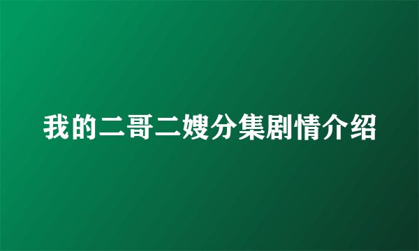 我的二哥二嫂分集剧情介绍