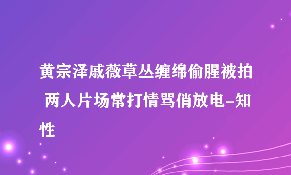 黄宗泽戚薇草丛缠绵偷腥被拍 两人片场常打情骂俏放电-知性