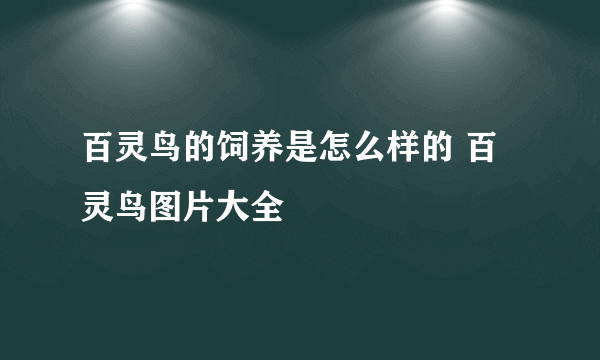 百灵鸟的饲养是怎么样的 百灵鸟图片大全