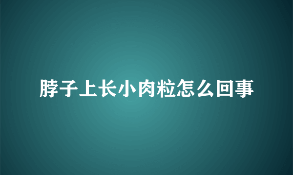 脖子上长小肉粒怎么回事