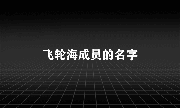 飞轮海成员的名字