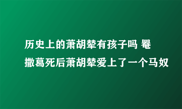 历史上的萧胡辇有孩子吗 罨撒葛死后萧胡辇爱上了一个马奴