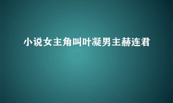 小说女主角叫叶凝男主赫连君