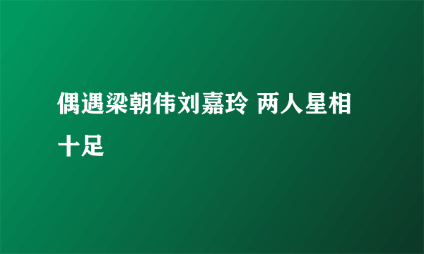 偶遇梁朝伟刘嘉玲 两人星相十足