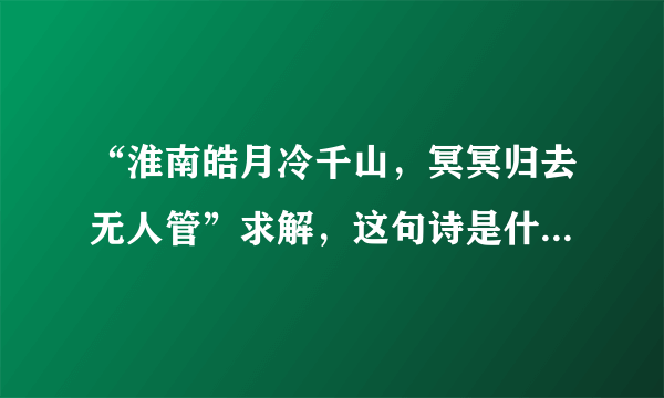 “淮南皓月冷千山，冥冥归去无人管”求解，这句诗是什么意思呢？