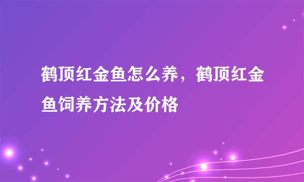 鹤顶红金鱼怎么养，鹤顶红金鱼饲养方法及价格