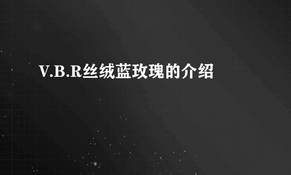 V.B.R丝绒蓝玫瑰的介绍