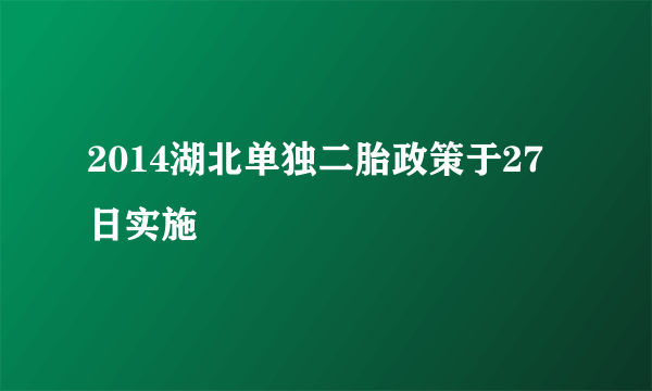 2014湖北单独二胎政策于27日实施