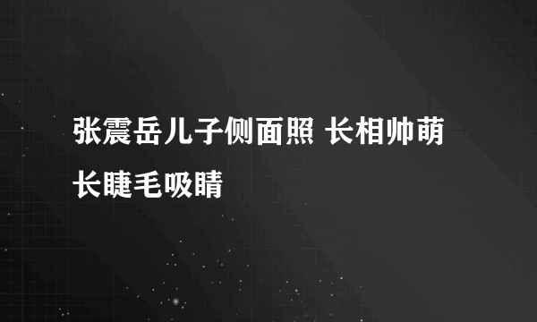 张震岳儿子侧面照 长相帅萌长睫毛吸睛