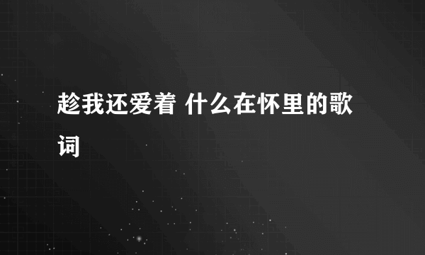 趁我还爱着 什么在怀里的歌词