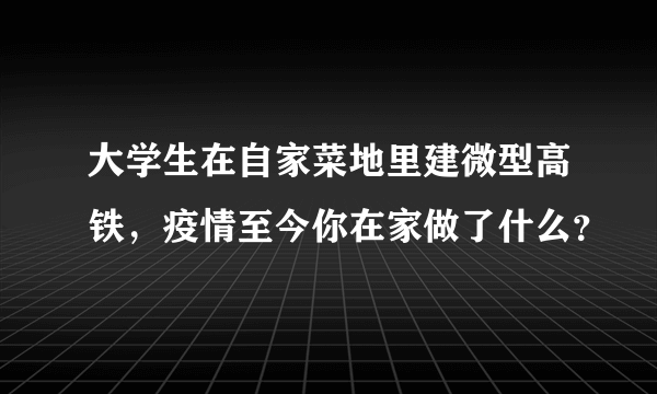 大学生在自家菜地里建微型高铁，疫情至今你在家做了什么？