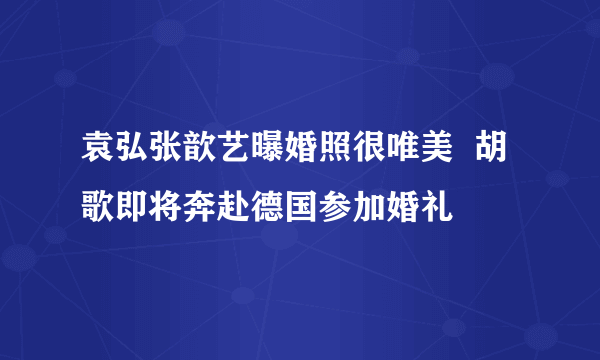 袁弘张歆艺曝婚照很唯美  胡歌即将奔赴德国参加婚礼