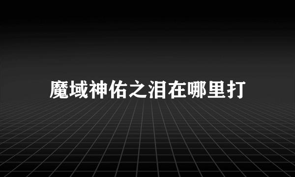 魔域神佑之泪在哪里打