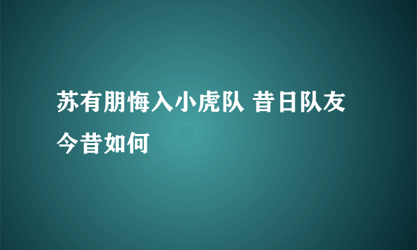 苏有朋悔入小虎队 昔日队友今昔如何