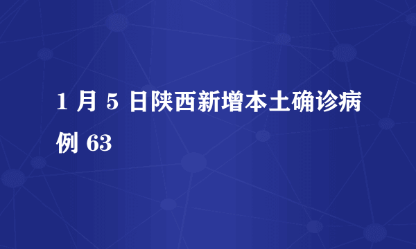 1 月 5 日陕西新增本土确诊病例 63