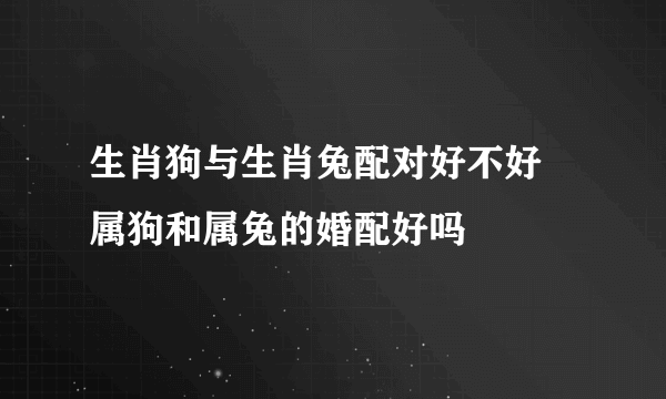 生肖狗与生肖兔配对好不好 属狗和属兔的婚配好吗