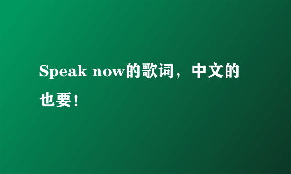 Speak now的歌词，中文的也要！