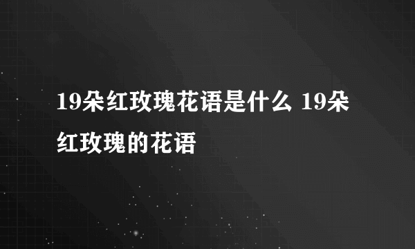 19朵红玫瑰花语是什么 19朵红玫瑰的花语