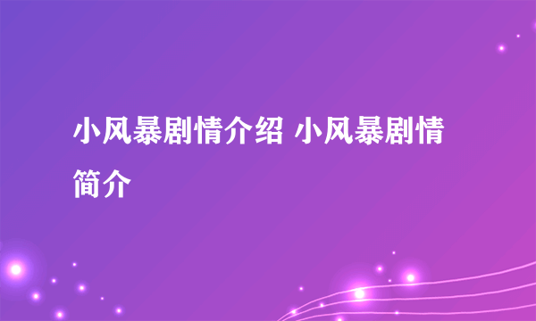 小风暴剧情介绍 小风暴剧情简介