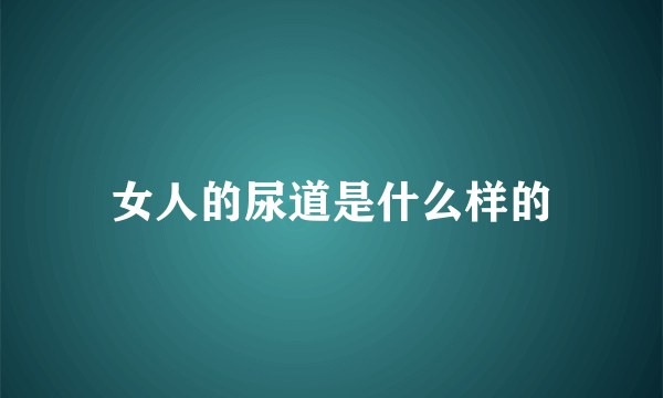 女人的尿道是什么样的