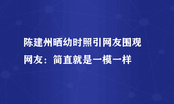 陈建州晒幼时照引网友围观 网友：简直就是一模一样